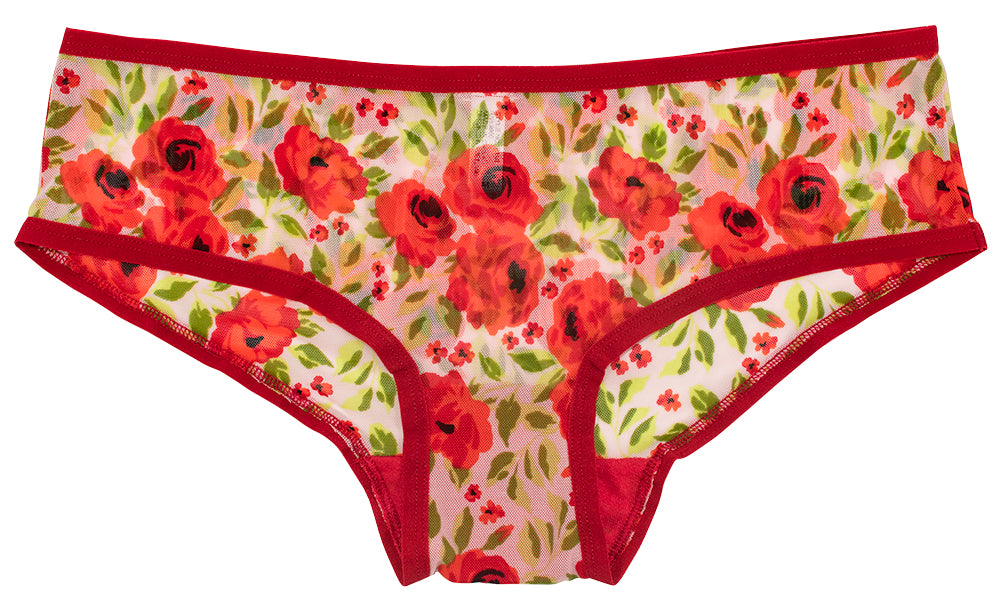 Cozy & Flirty Winter Floral Hipster – XS–3X