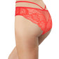 Floral Lace and Mesh Cheeky