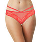 Floral Lace and Mesh Cheeky