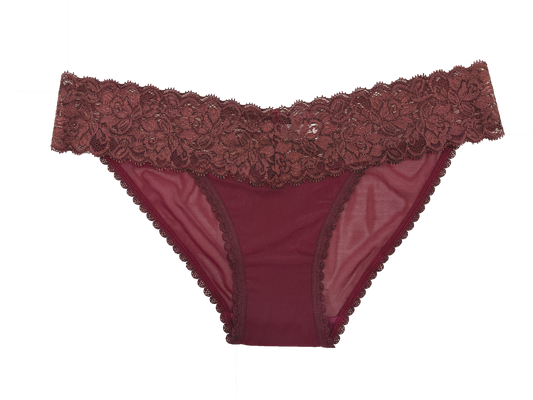 Mesh and Lace Classic Cheeky, XS-2X
