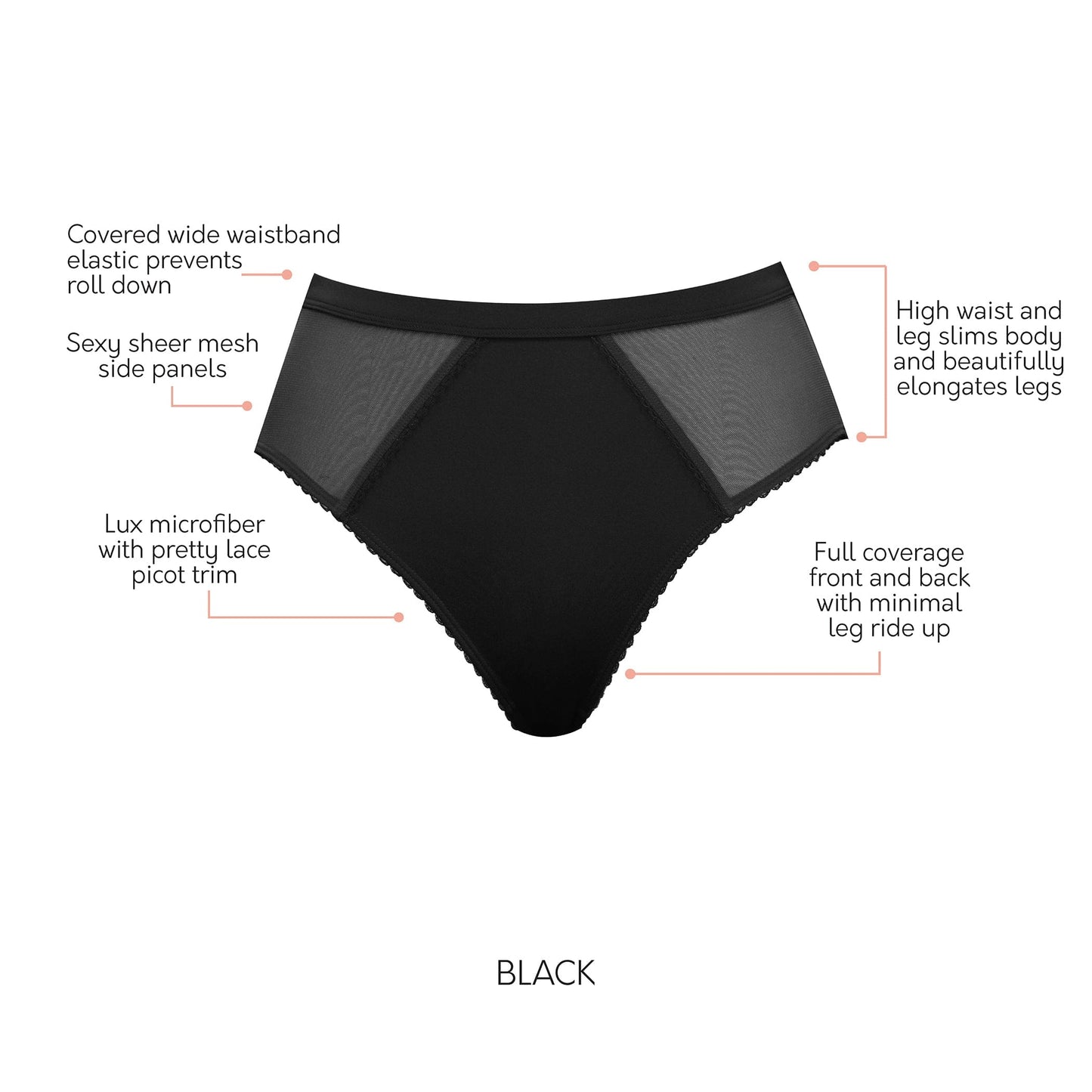 PARFAIT Micro Dressy PP306 French Cut High Waisted Sexy Sheer Panties - Black