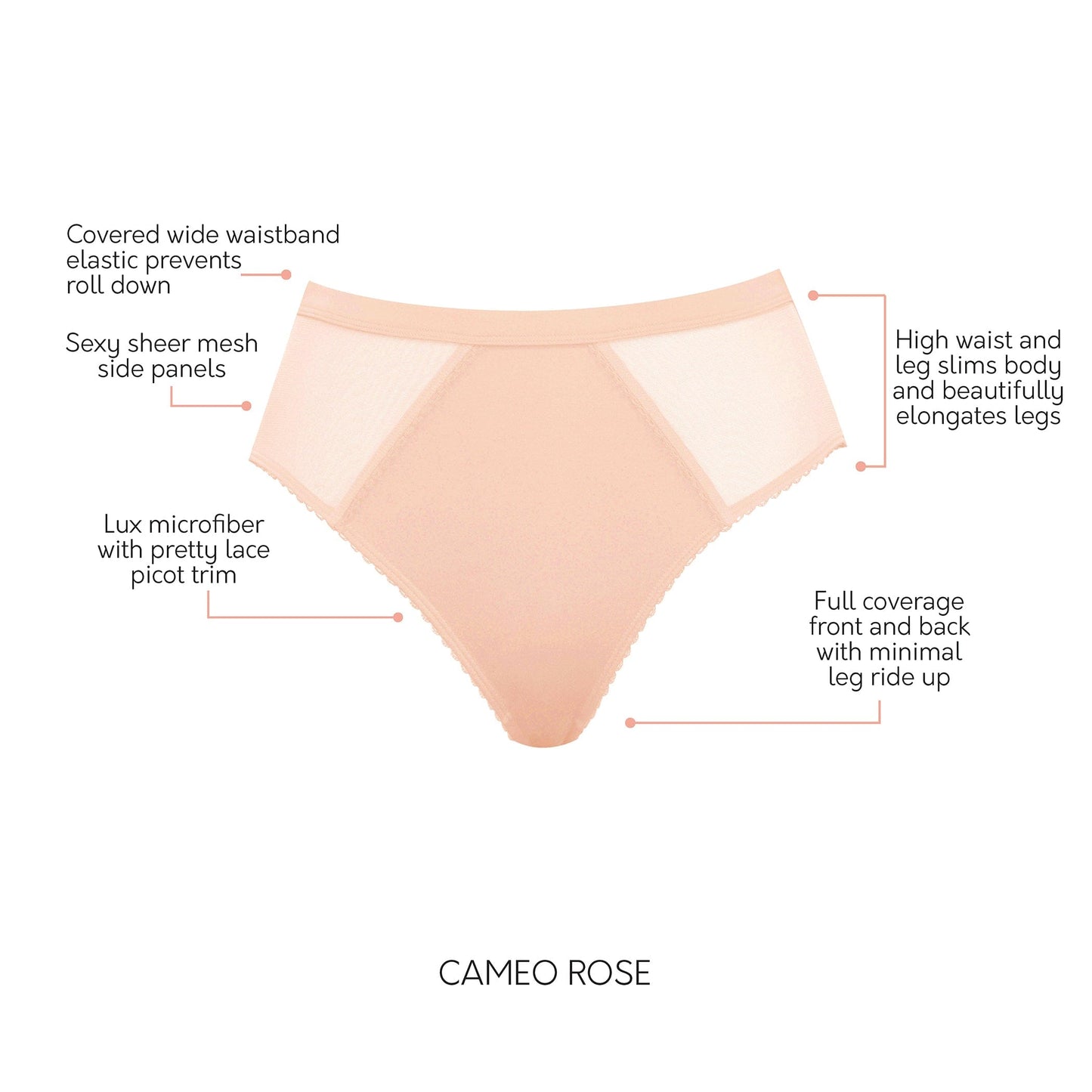 PARFAIT Micro Dressy PP306 French Cut High Waisted Sexy Sheer Panties - Cameo Rose