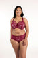 Tasha FlexWire Plunge Bra, I-N Cup